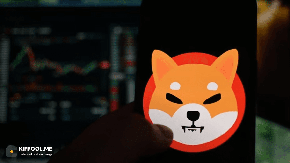 shiba-inu-price-analysis-august-2026