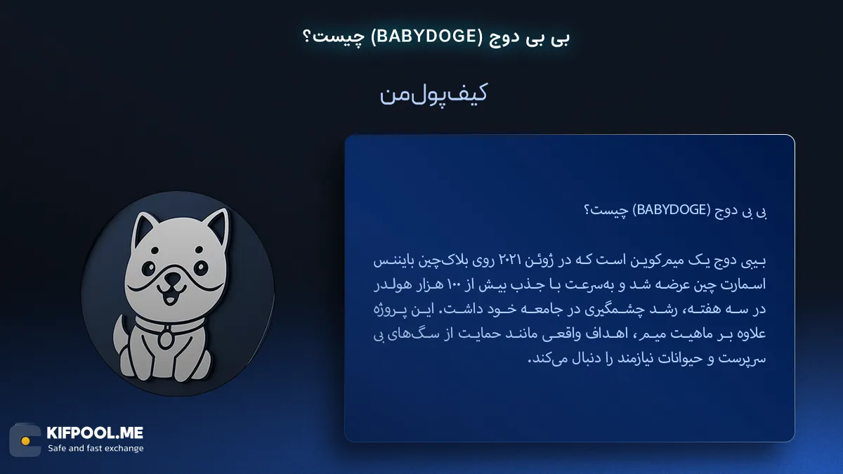 بی بی دوج (BABYDOGE) چیست؟ | صرافی کیف پول من