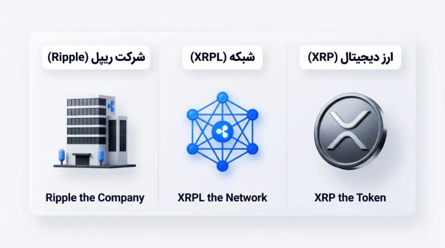 یک شفافسازی مهم: تفاوت شبکه XRPL، شرکت ریپل (Ripple) و ارز دیجیتال XRP | کیف پول من