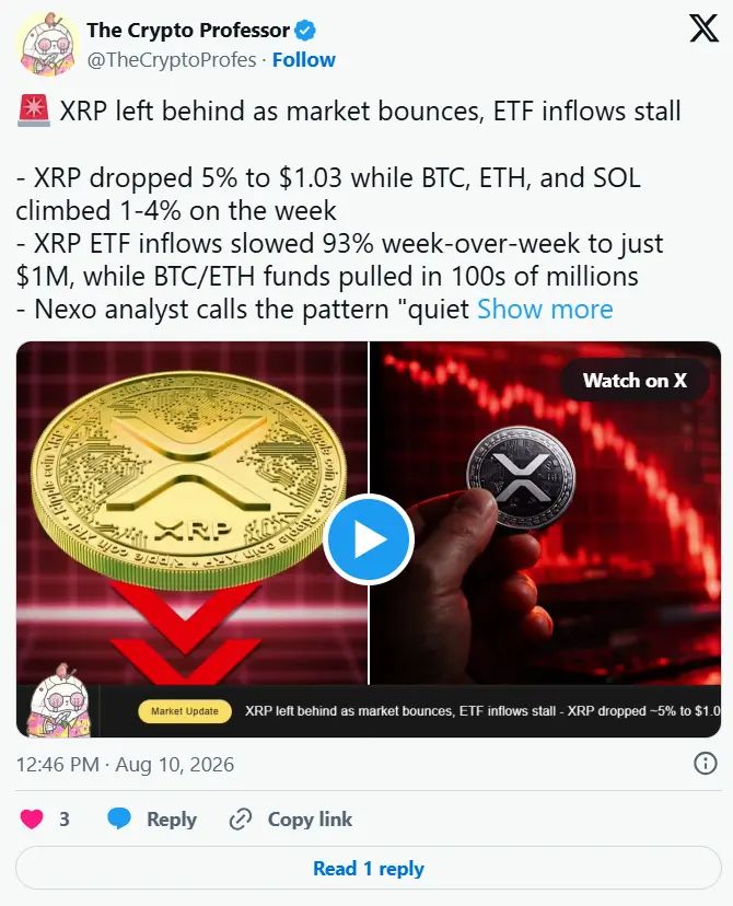 نهنگ‌های XRP برخلاف مؤسسات به خرید ادامه دادند | صرافی کیف پول من