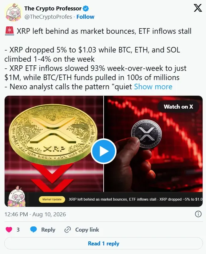 نهنگ‌های XRP برخلاف مؤسسات به خرید ادامه دادند | صرافی کیف پول من