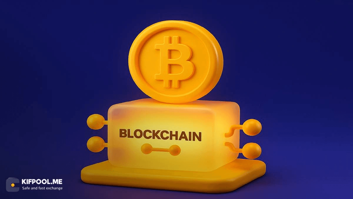 کوین (Coin) چیست؟ مفاهیم، انواع و کاربردها در ارز دیجیتال