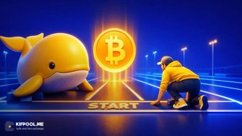 Fair Launch چیست؟ سرمایهگذاری برابر و بدون رانت در کریپتو با عرضه منصفانه
