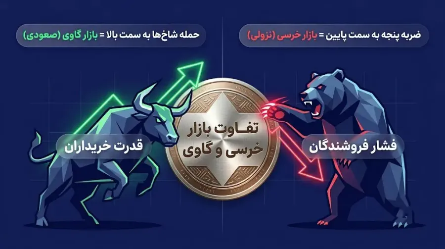 نامگذاری گاو و خرس در بازارهای مالی | صرافی کیف پول من