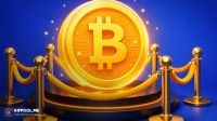 پیش فروش توکن (Token Presale) چیست؟ راهنمای جامع و بررسی ریسکها