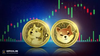 آیا شیبا اینو اکوسیستم بهتری نسبت به دوج کوین دارد؟
