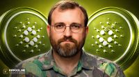 واکنش جنجالی چارلز هاسکینسون به شکست کاردانو در ژاپن؛ خودتان اقدام کنید!