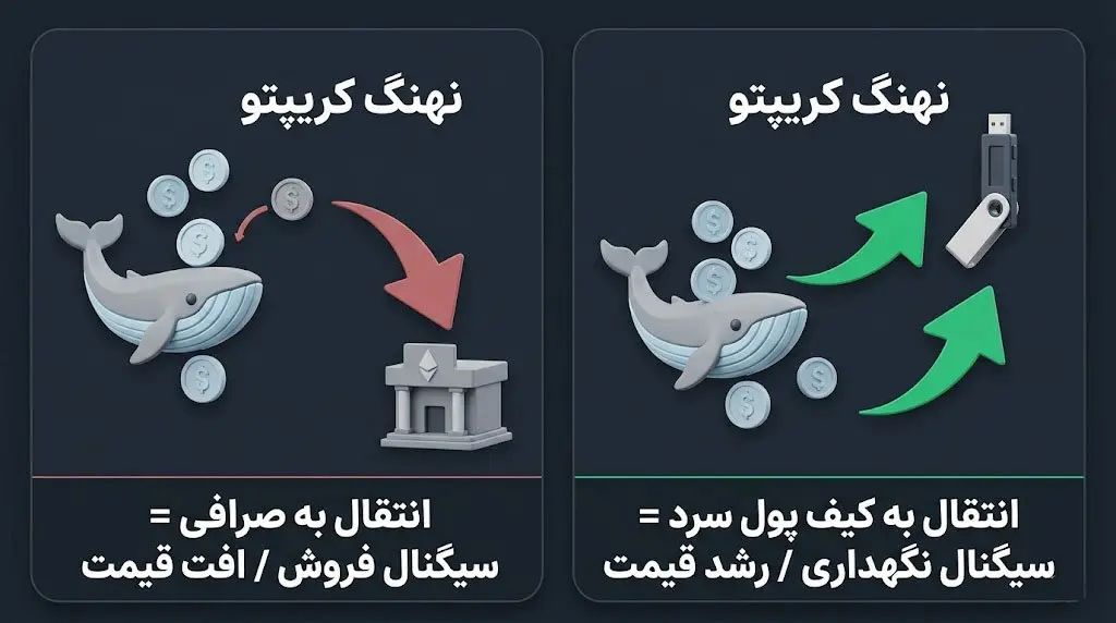 رصد تحرکات نهنگ&zwnj;های کریپتو و تاثیر آن&zwnj;ها بر روند بازار | صرافی کیف پول من