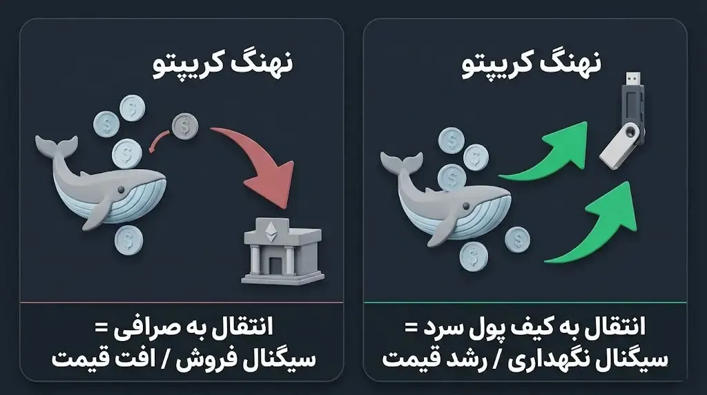 رصد تحرکات نهنگ‌های کریپتو و تاثیر آن‌ها بر روند بازار | صرافی کیف پول من