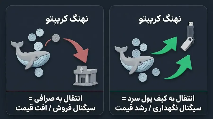رصد تحرکات نهنگهای کریپتو و تاثیر آنها بر روند بازار | صرافی کیف پول من