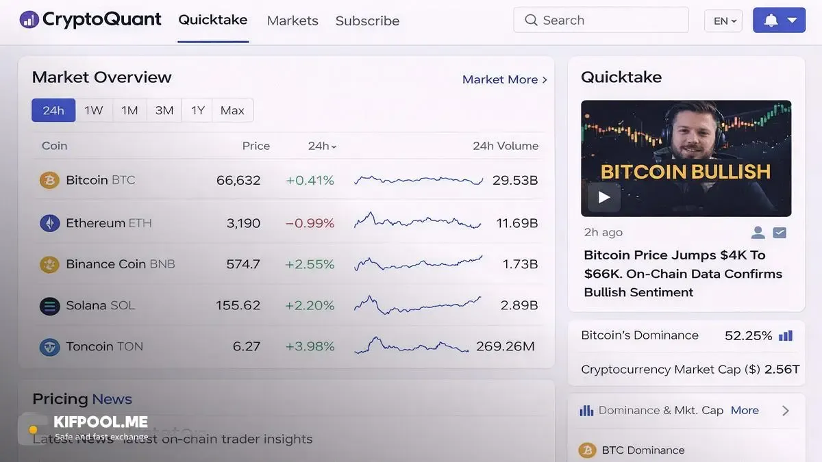 معرفی و بررسی محیط کاربری کریپتوکوانت (CryptoQuant) | کیف پول من
