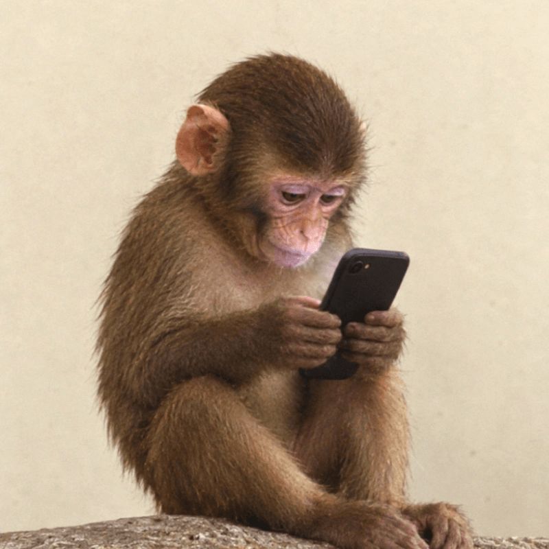 apeonfone