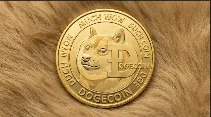 دوج کوین DOGE؛ رهبر میم کوین های بازار با جامعه کاربری قدرتمند | کیف پول من