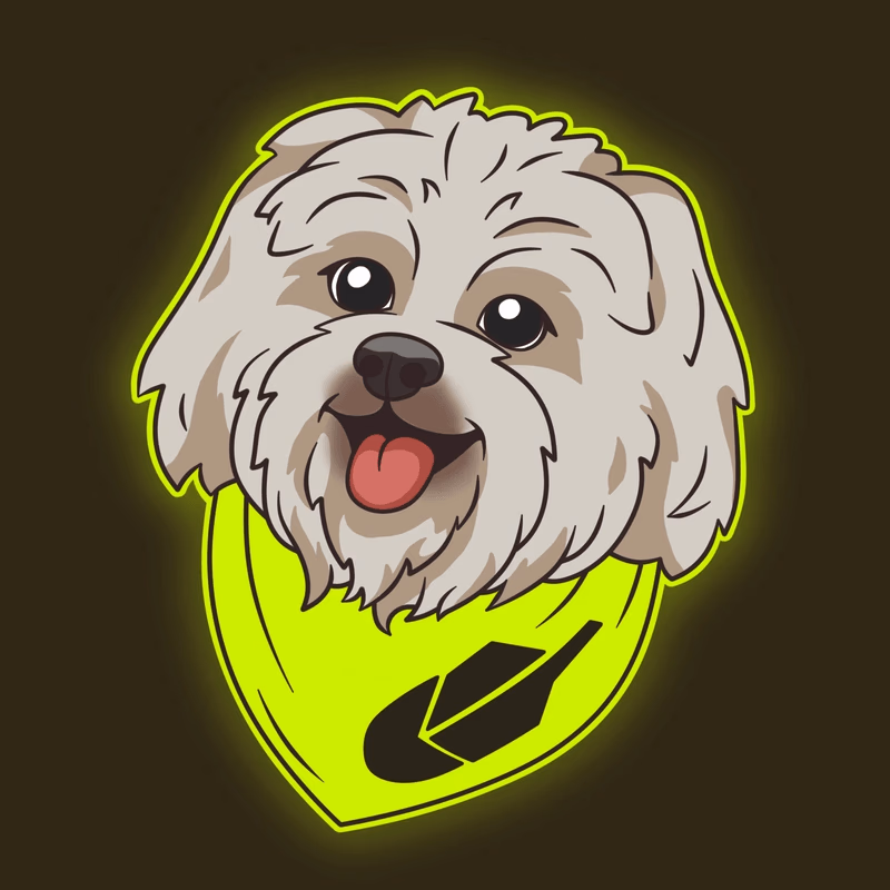 Robinhood Dog