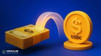 USDC چیست؟ بررسی نحوه عملکرد، کاربرد و مزایای یو اس دی کوین