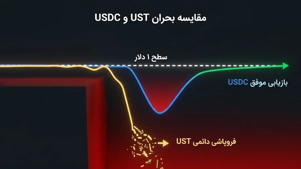 دی پگ موقت USDC | صرافی کیف پول من