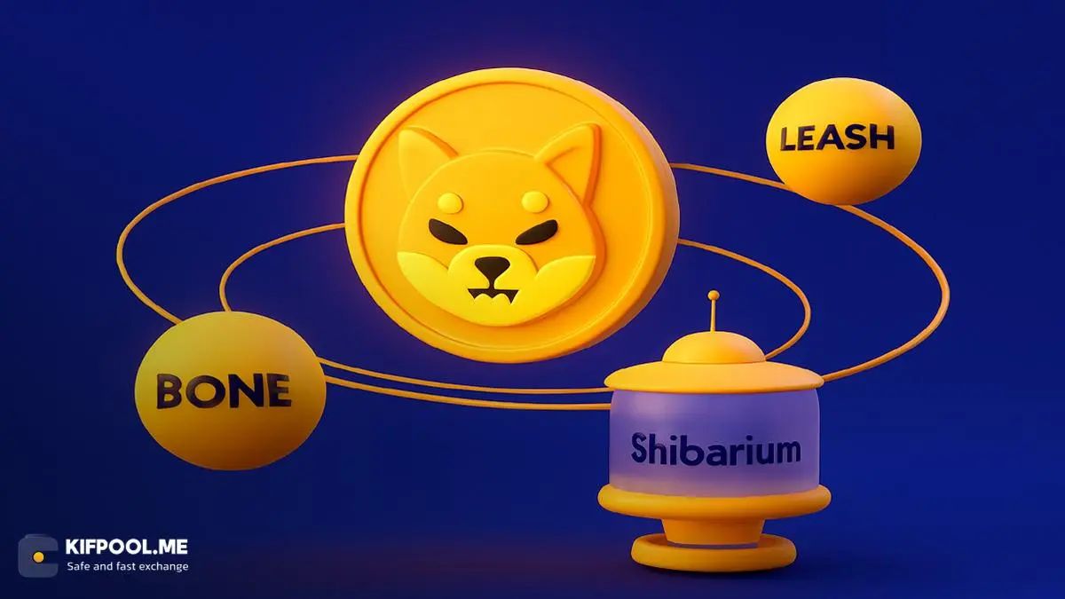 ارز شیبا چیست؟ بررسی جامع رمزارز Shiba Inu