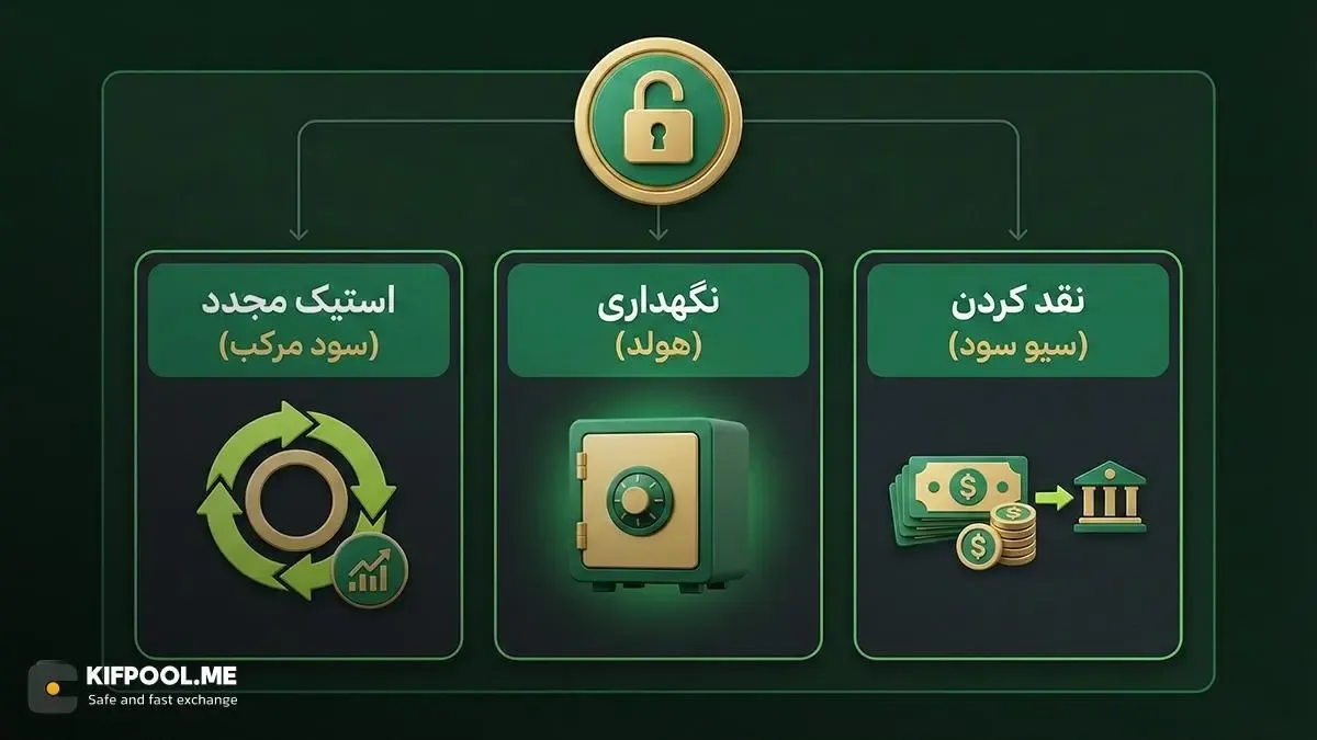 بهترین استراتژی‌ها پس از آزادسازی نات کوین‌ها | صرافی کیف پول من