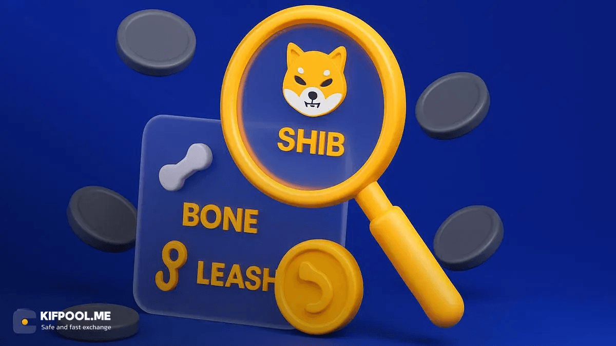 types-of-shiba