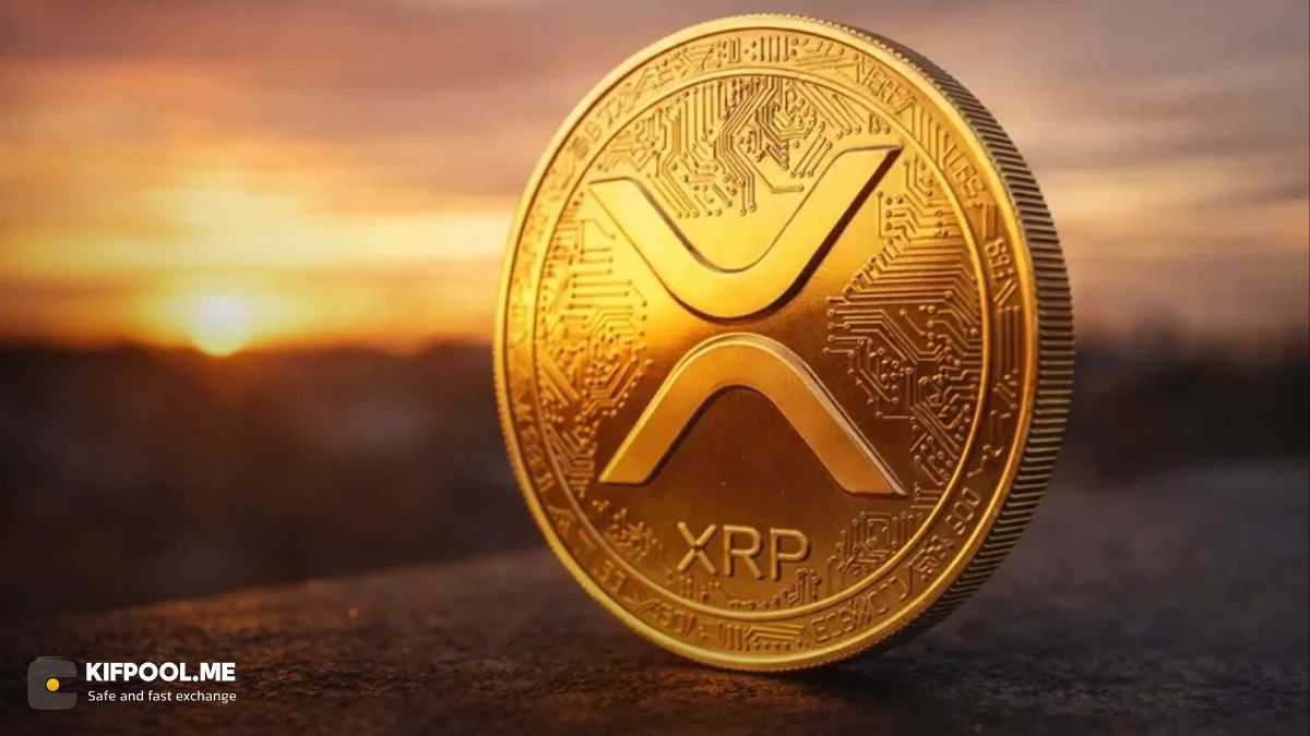 به‌روزرسانی لیست ثروتمندان ریپل؛ برای قرار گرفتن در ۱٪ برتر چقدر XRP نیاز دارید؟