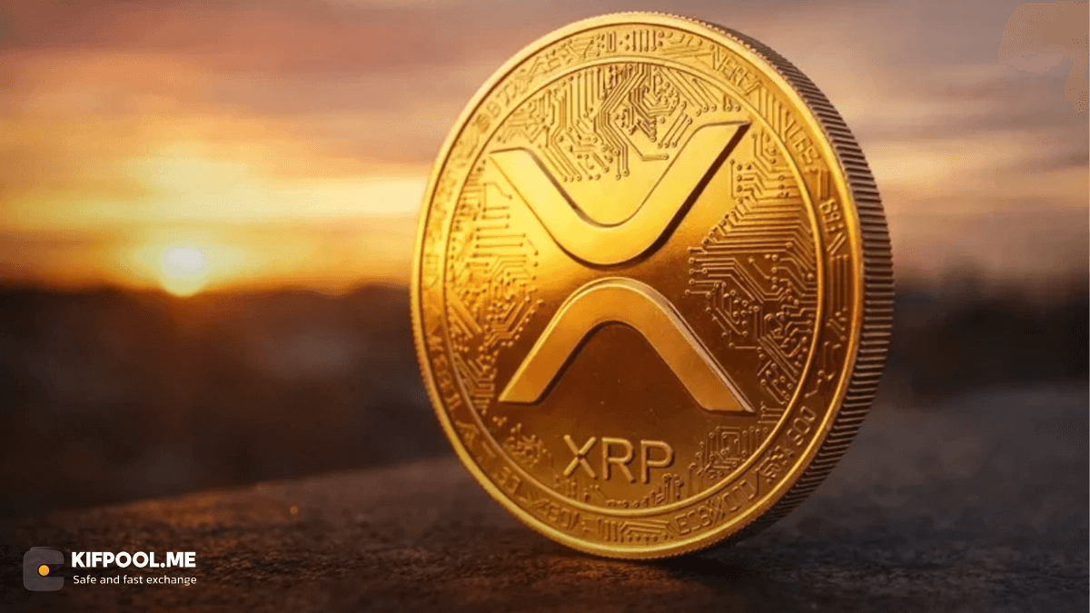 xrp-rich-list-top-1-percent-holder