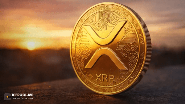 بهروزرسانی لیست ثروتمندان ریپل؛ برای قرار گرفتن در ۱٪ برتر چقدر XRP نیاز دارید؟