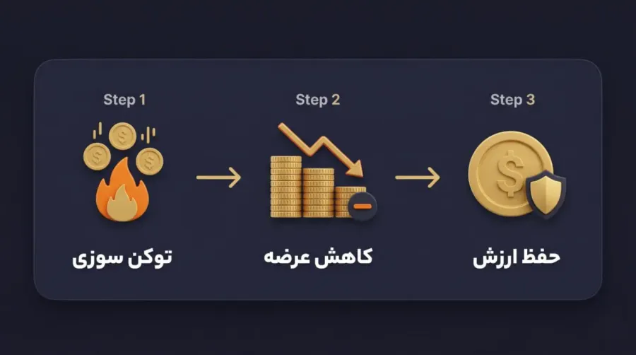 هدف اصلی تیم توسعهدهنده از سوزاندن توکنهای بیبی دوج چیست؟ | صرافی کیف پول من