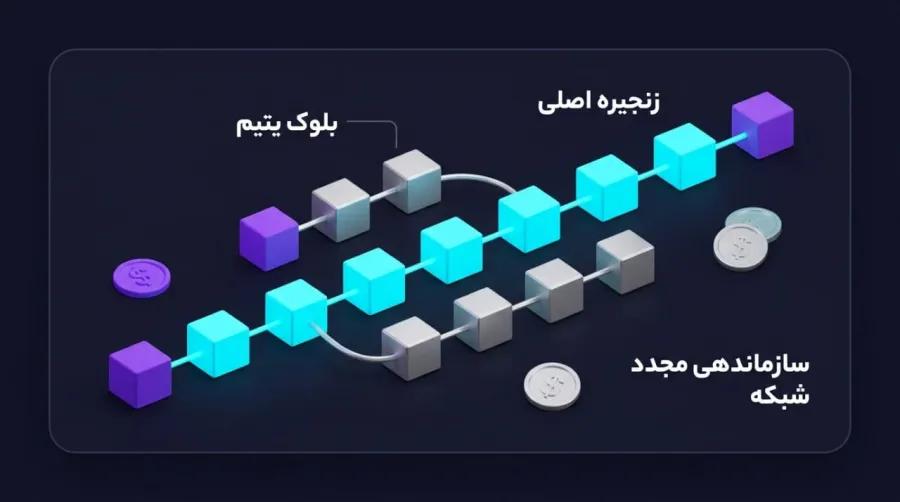 قانون طولانیترین زنجیره: نحوه انتخاب مسیر اصلی شبکه | کیف پول من