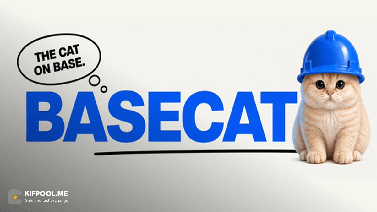 basecat-price-rally-analysis