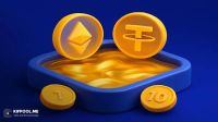 استخر نقدینگی (Liquidity Pool) چیست؟ راهنمای جامع سرمایهگذاری در دیفای