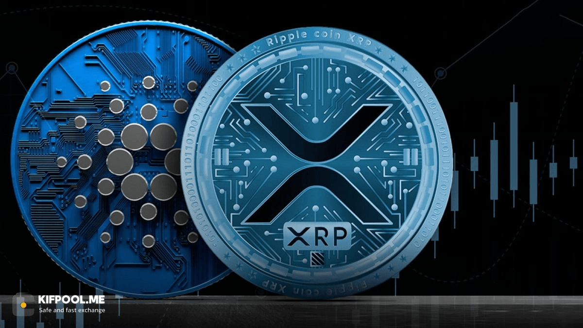 flare-vs-cardano-bitcoin-defi-battle