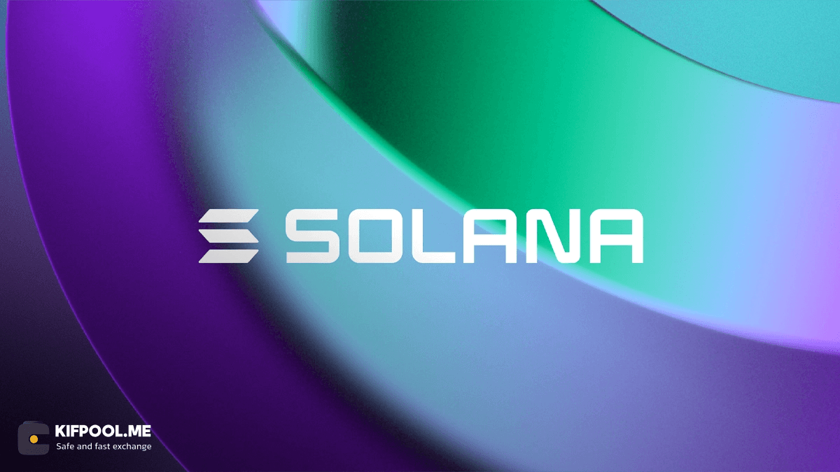jimothy-solana-meme-coin-price-surge