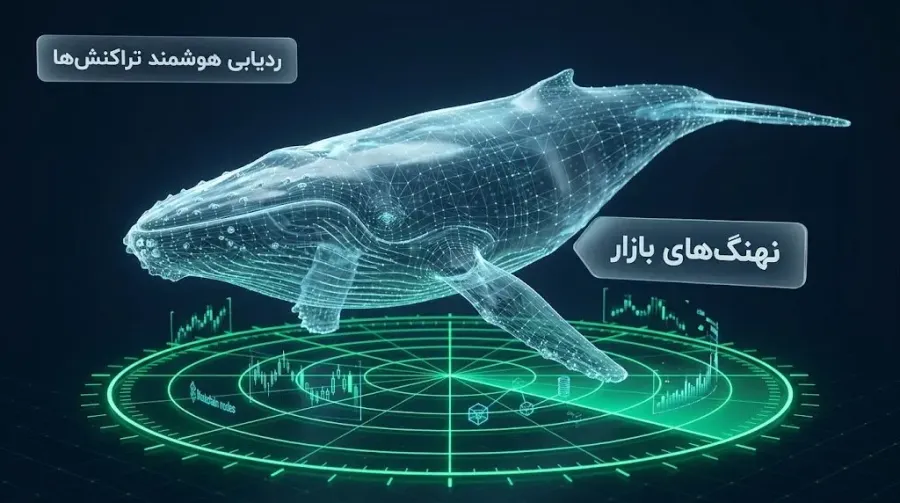 ردیابی آسان تراکنشها و بررسی سبد سرمایهگذاری نهنگهای بازار | صرافی کیف پول من