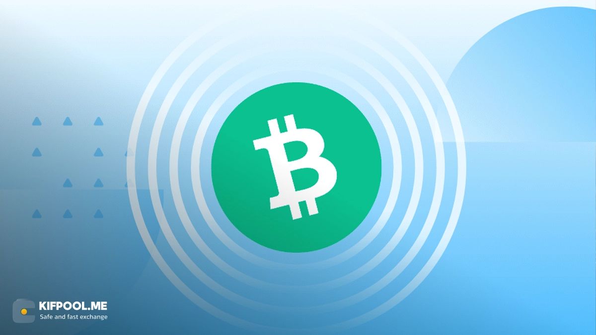 هشدار سقوط ۵۰ درصدی بیتکوین کش؛ آیا BCH به ۱۰۰ دلار میرسد؟