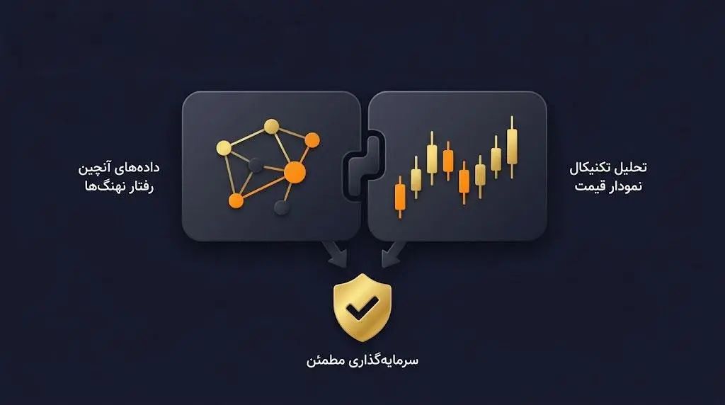 نکات طلایی و خطرات مهم هنگام ردیابی کیف پول&zwnj;ها | صرافی کیف پول من
