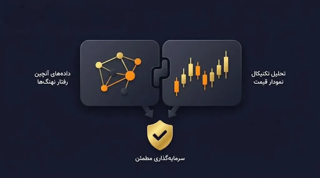 نکات طلایی و خطرات مهم هنگام ردیابی کیف پول‌ها | صرافی کیف پول من
