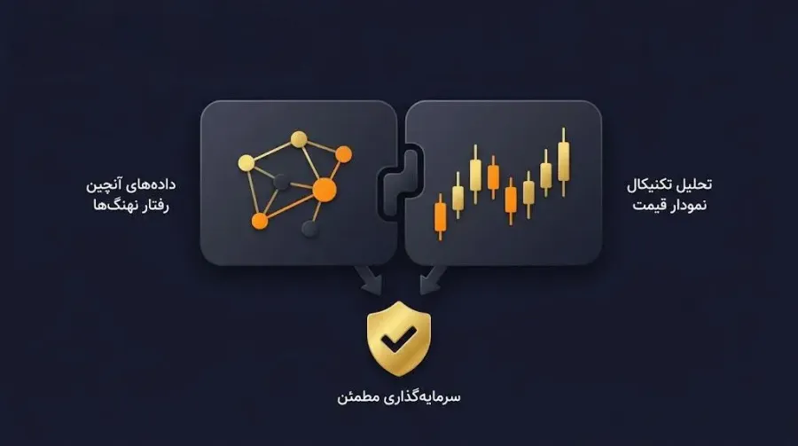 نکات طلایی و خطرات مهم هنگام ردیابی کیف پولها | صرافی کیف پول من