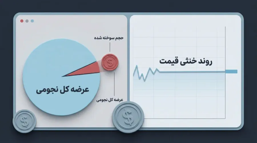 چرا با وجود توکن سوزیهای سنگین، قیمت بیبی دوج گاهی ثابت میماند؟ | صرافی کیف پول من