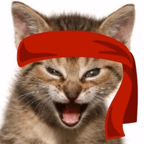 Red Kitten Crew