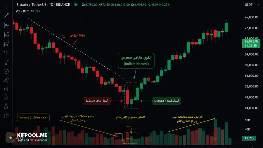 بررسی حجم معاملات (Volume) در زمان تشکیل کندل فرزند | صرافی کیف پول من
