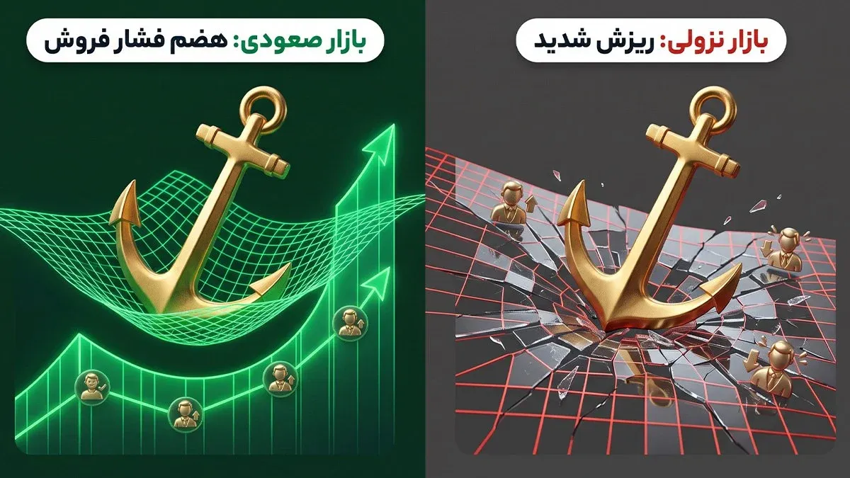 بررسی تفاوت رفتار نهنگ‌ ها در روند‌های صعودی و نزولی بازار | کیف پول من