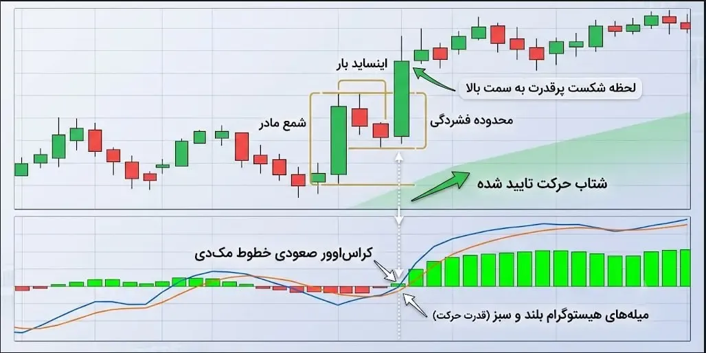 بررسی قدرت روند و مومنتوم با اندیکاتورهای RSI و MACD | صرافی کیف پول من