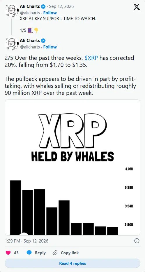 فشار فروش نهنگ‌ها بر XRP افزایش یافت | صرافی کیف پول من