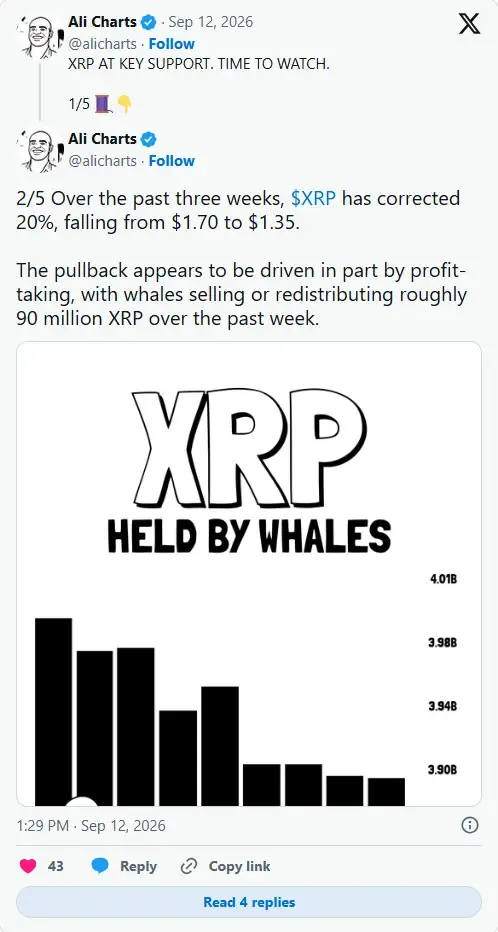 فشار فروش نهنگ‌ها بر XRP افزایش یافت | صرافی کیف پول من