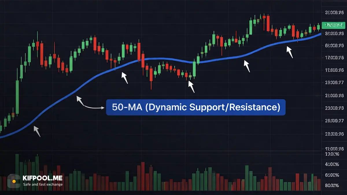 سطوح داینامیک یا پویا (Dynamic) | صرافی کیف پول من
