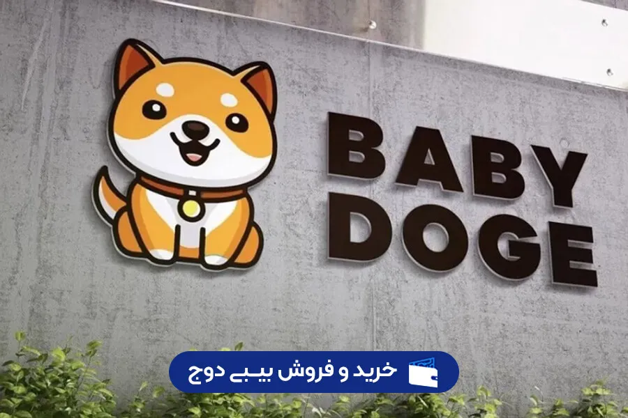 همه چیز در مورد ارز بیبی دوج