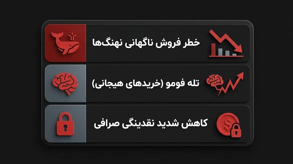 ریسکهای سرمایهگذاری روی میم کوینها و پروژه شیکوکو | صرافی کیف پول من