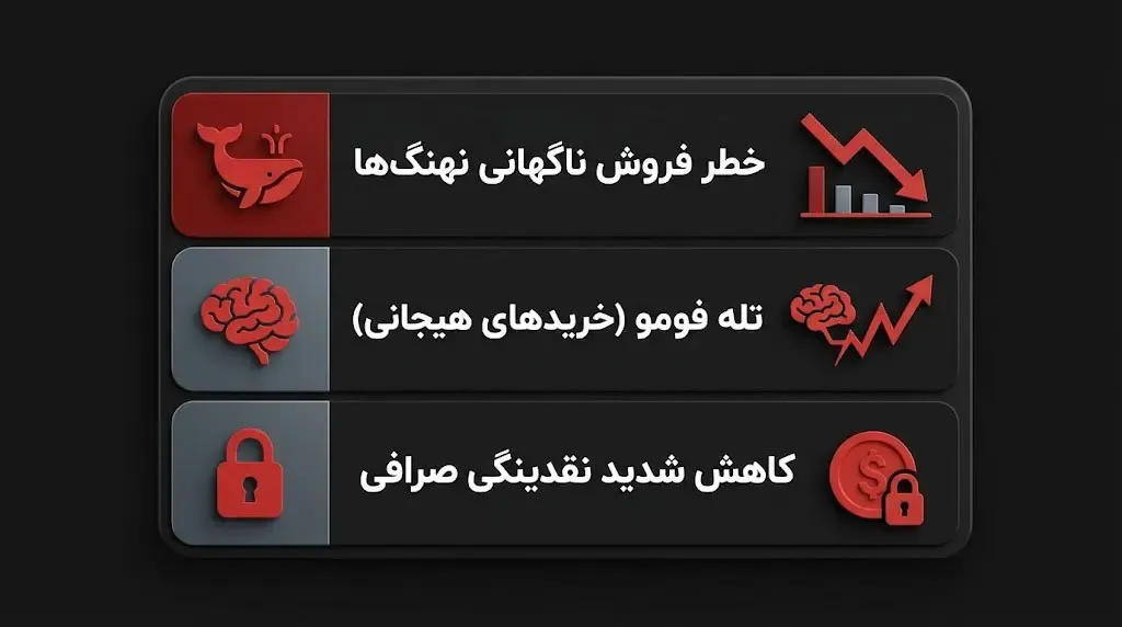 ریسک‌های سرمایه‌گذاری روی میم کوین‌ها و پروژه شیکوکو | صرافی کیف پول من