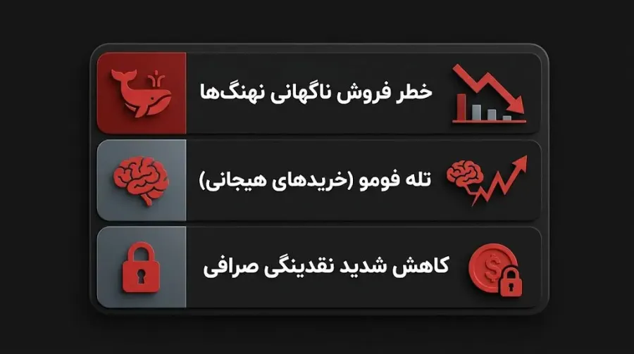 ریسکهای سرمایهگذاری روی میم کوینها و پروژه شیکوکو | صرافی کیف پول من