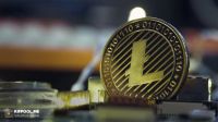 لایتکوین دوباره زیر ذرهبین نهنگها؛ افزایش توجه سرمایهگذاران بزرگ